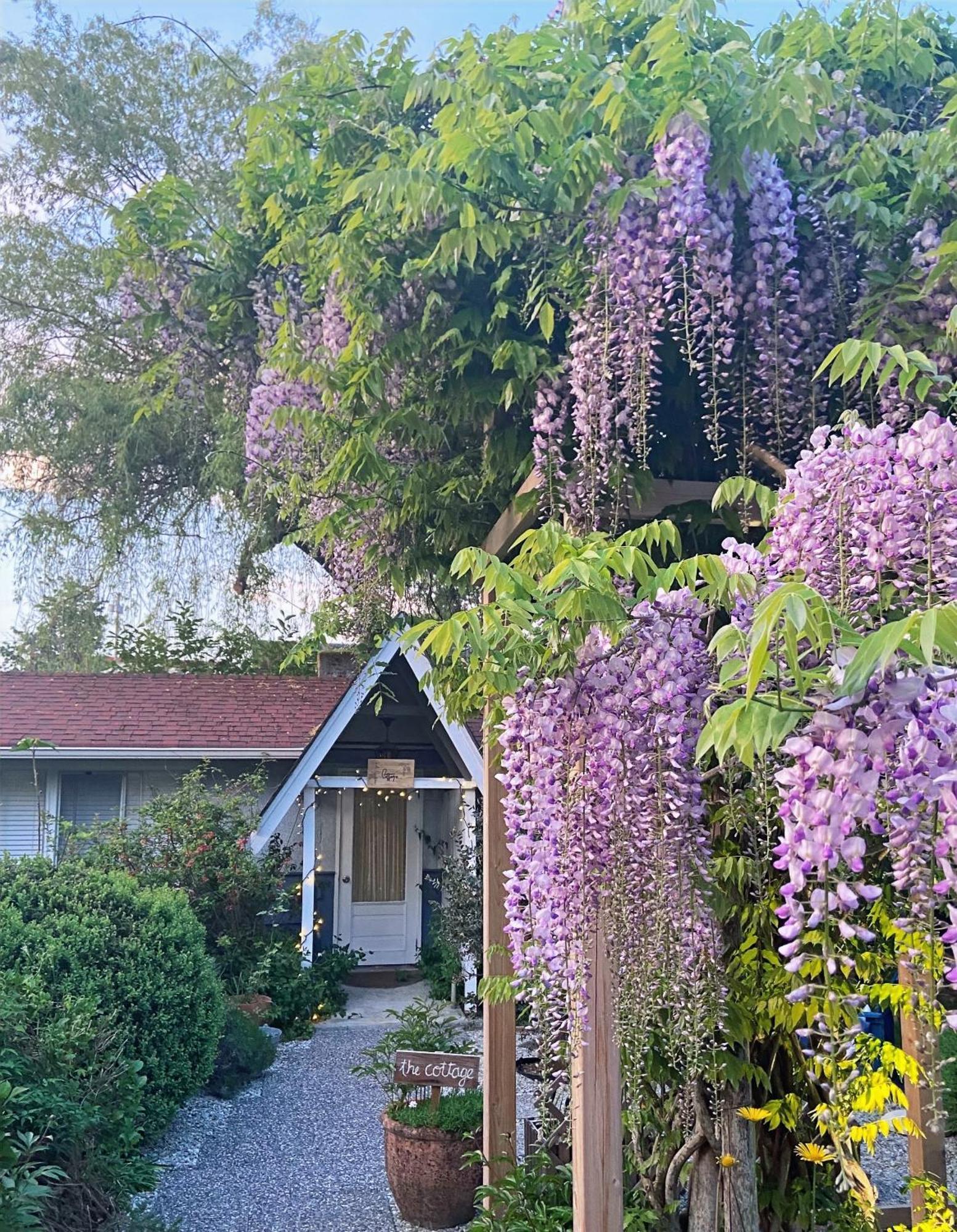 Wisteria Guest House Ganges Exterior photo
